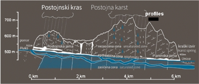 Fig. 1 Idealized cross section between ponor of Pivka river and spring of river Unica (according to Hajna 2015). Black thick line marks area of test profiles above Planina cave.