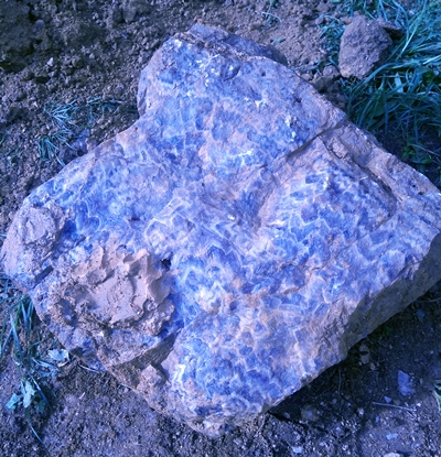 60 cm wide amethyst veins from the outcrop